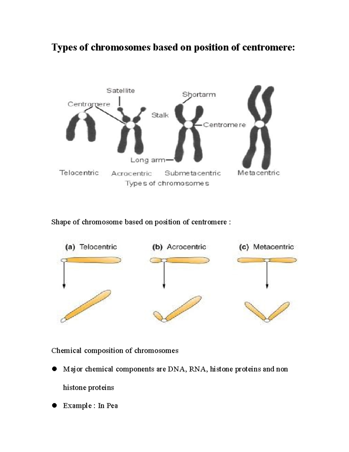 Types Of Chromosomes Based On Position Of Centrome They Found In The Nuclei Of Both Vertebrate