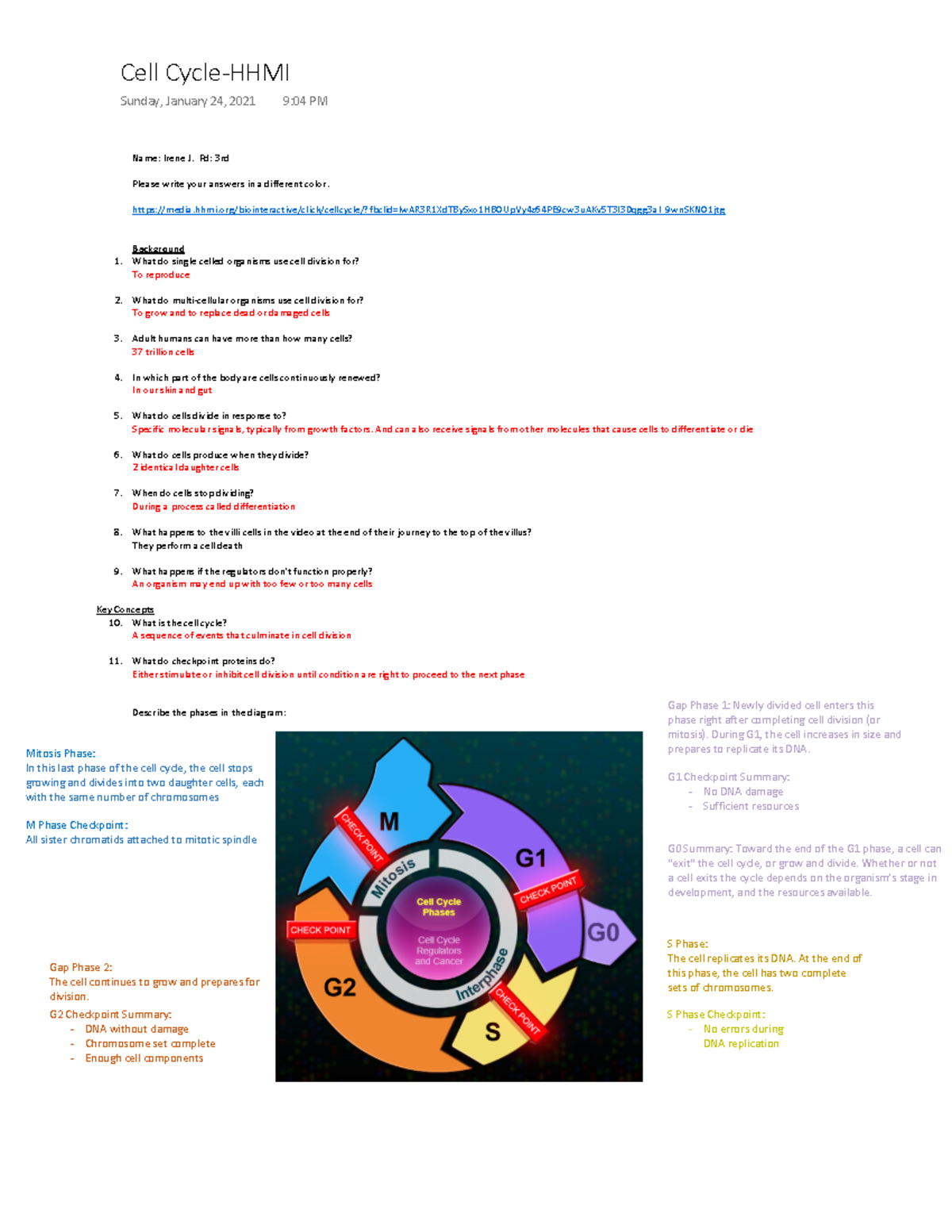 Hhmi Biomeviewer Worksheet Answers
