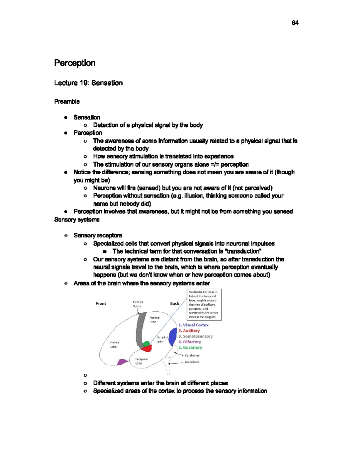 Perception notes - Mind, Brain and Behaviour - Studocu