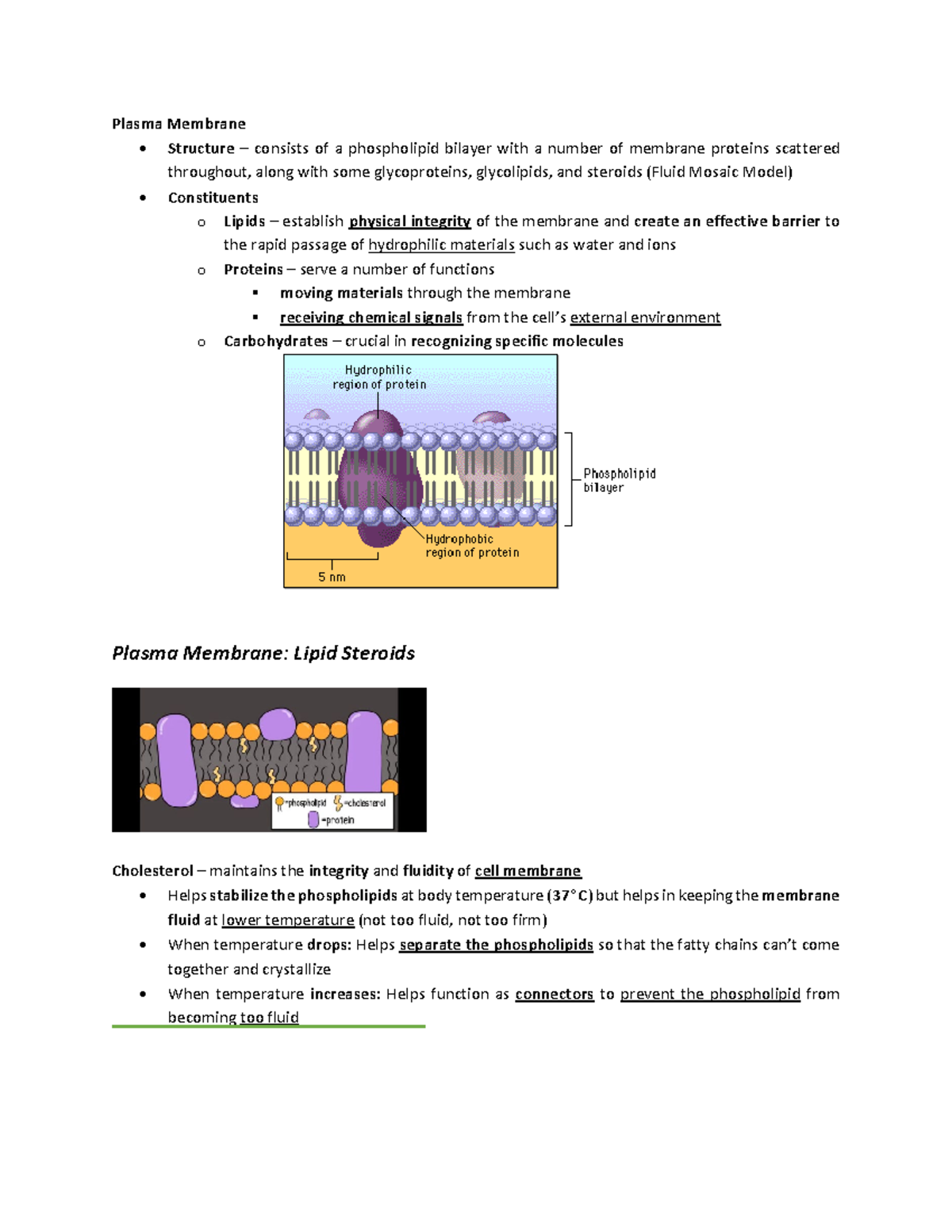 BIO - Transport Mechanisms - Plasma Membrane - Structure – consists of ...