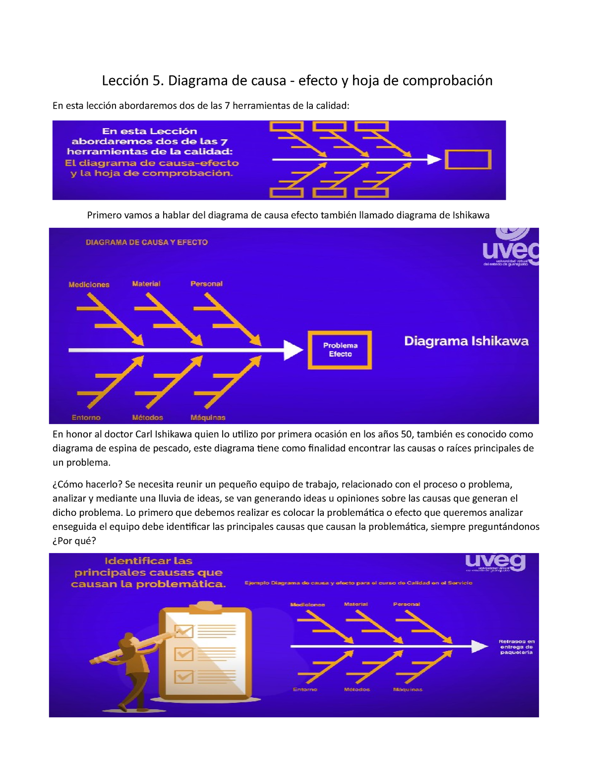 Ejercicio Lección 5 Diagrama De Efecto Y Hoja De Comprobación Lección 5 Diagrama De Causa