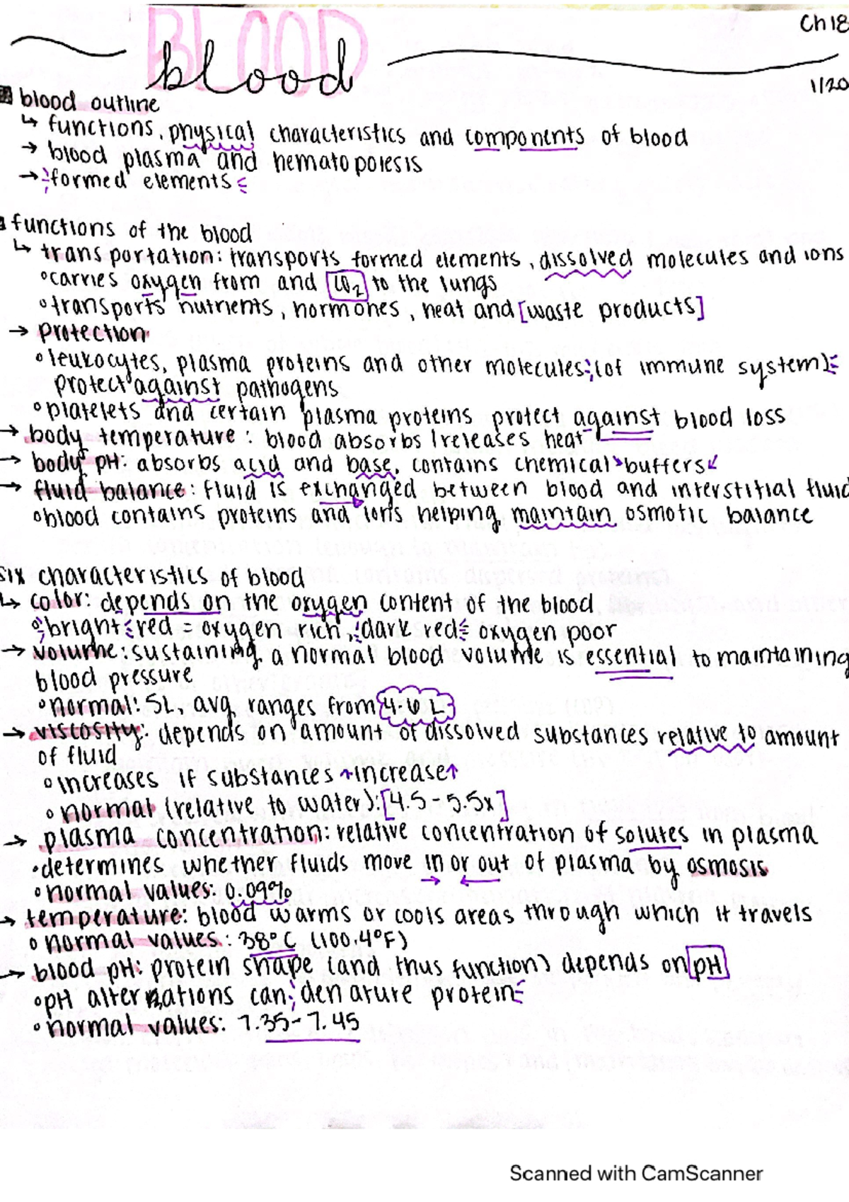 Blood system - BMS 251 - Studocu