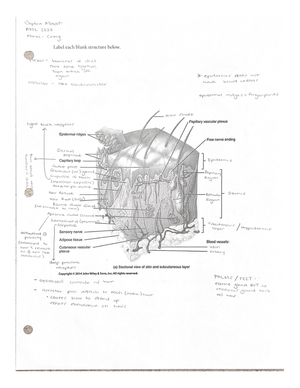 Intro to Bones - BIOL 2320 - Studocu