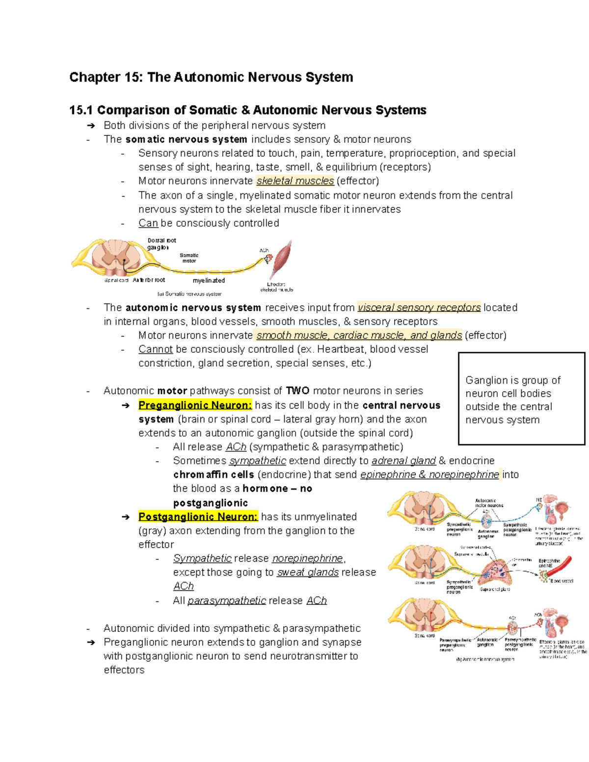 chapter-15-the-autonomic-nervous-system-heartbeat-blood-vessel