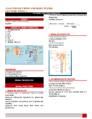 Introduction TO Urinalysis - 1 ANALYSIS OF URINE AND BODY FLUIDS WEEK 2 ...