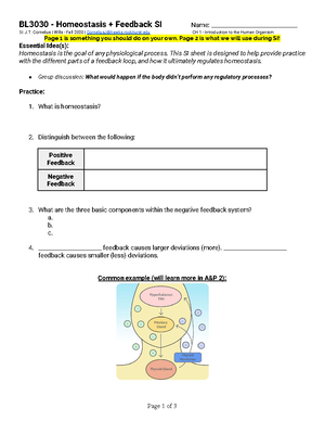[Solved] Match the muscle fiber component with its description ...