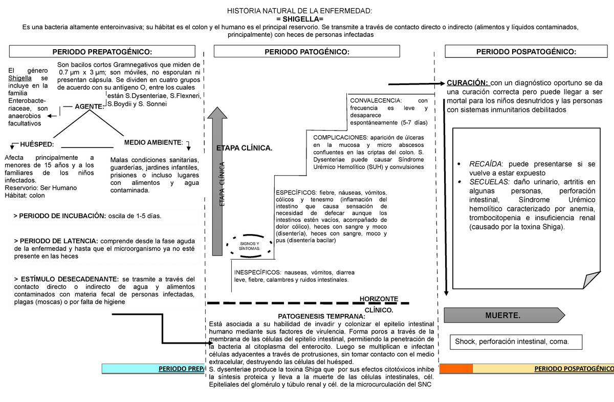 Hne Y Niveles De Prevencion Shigella Historia Natural De La The Best Porn Website