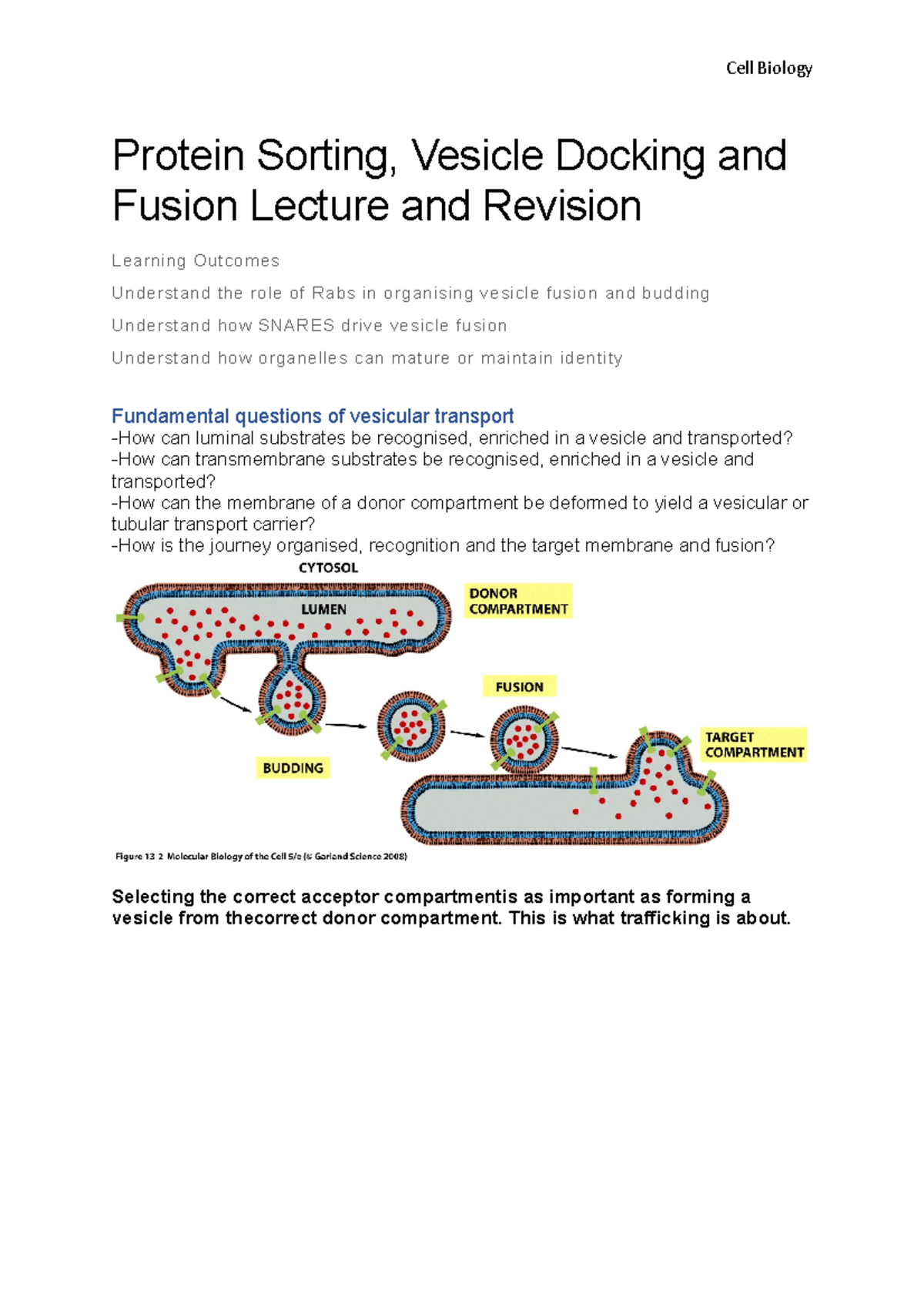 Protein Sorting, Vesicle Docking and Fusion Lecture and Revision - Cell ...
