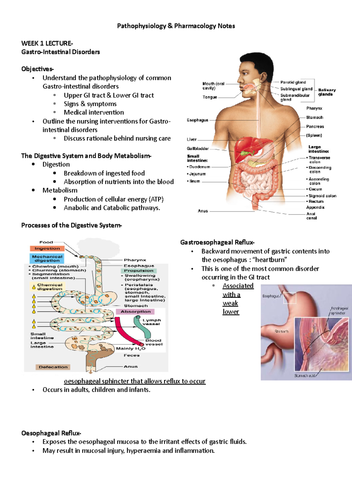 Pathophysiology Notes - Pathophysiology & Pharmacology Notes WEEK 1 ...