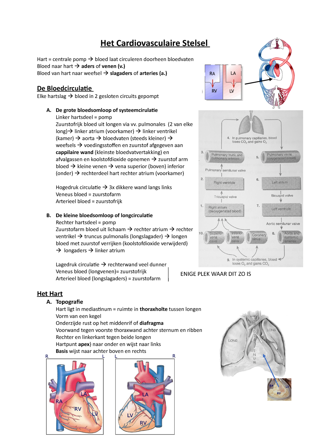 3. Het Cardiovasculair Stelsel - Het Cardiovasculaire Stelsel Hart ...