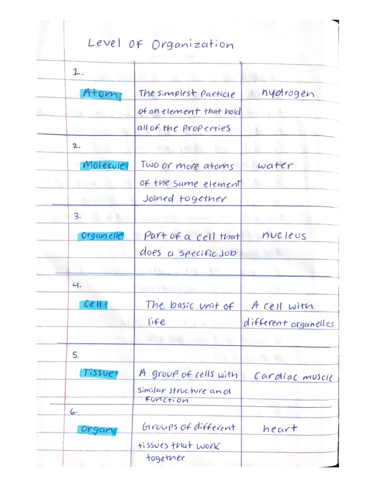 Levels Of Organization Notes - Studocu