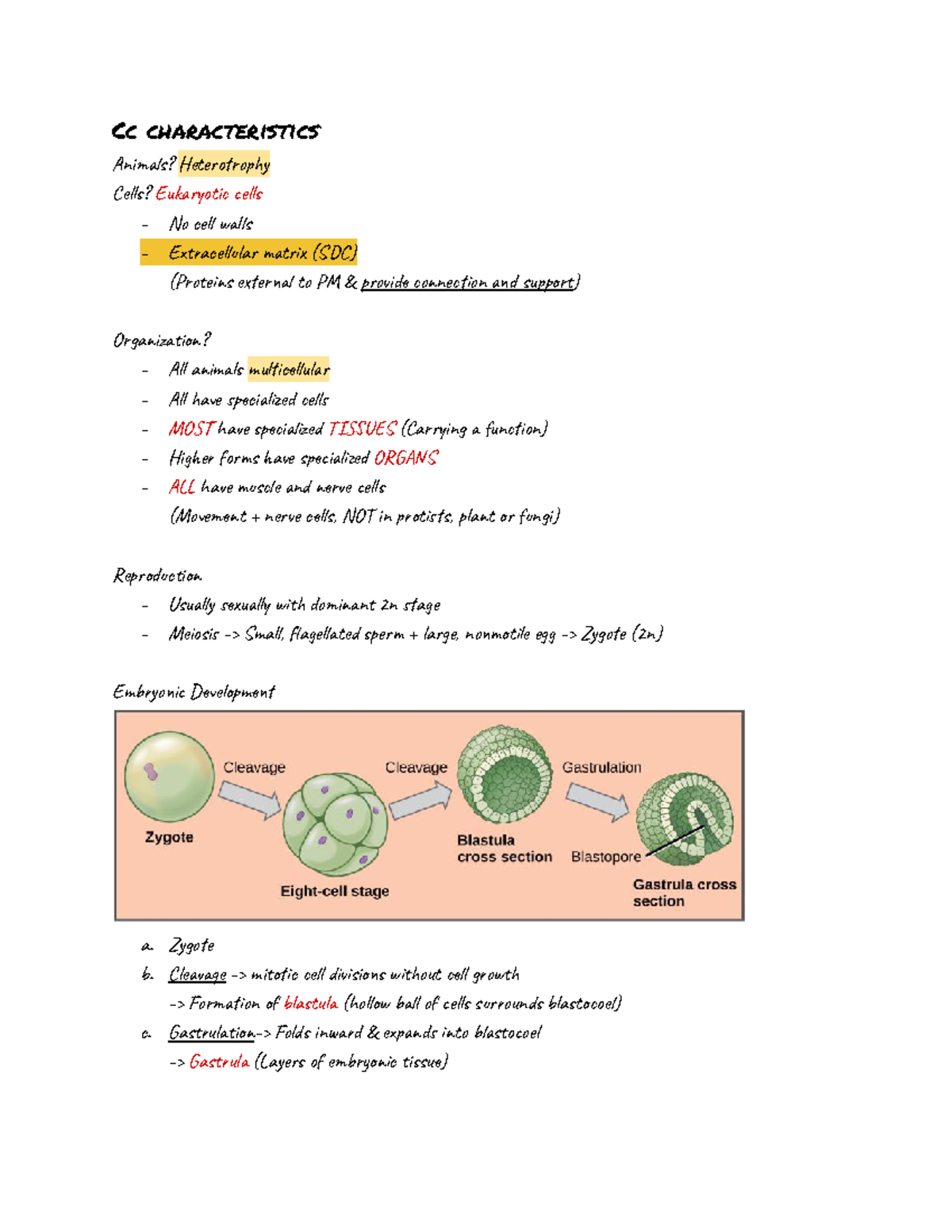 Animal Diversity I Cc characteristics Anis? Hetroy Cel? Eukti l No