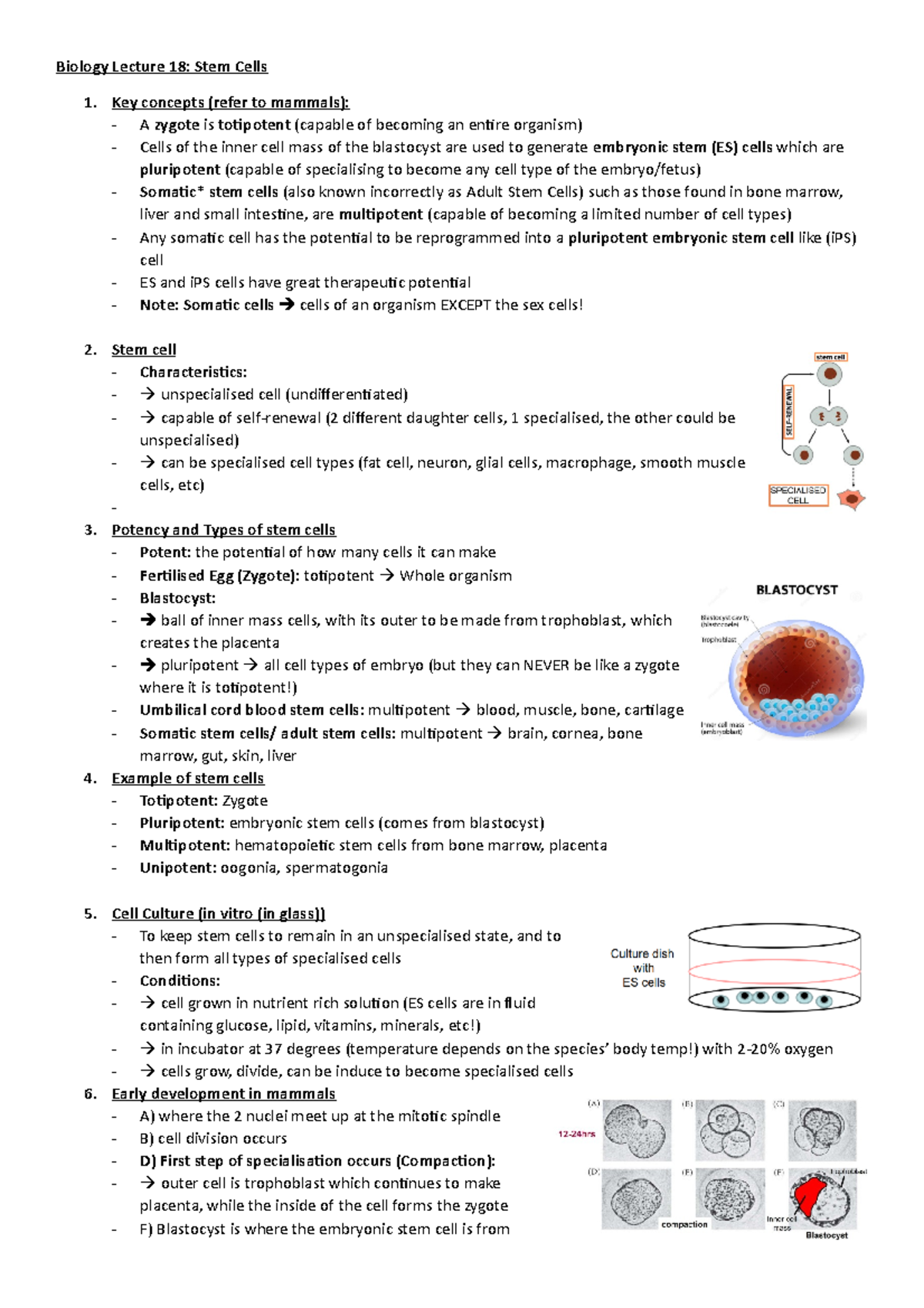 BIology Lecture 18 - Biology Lecture 18: Stem Cells Key concepts (refer ...