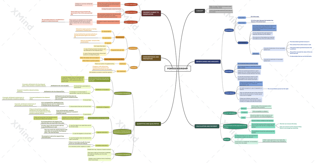 Forced Heirs Mind Map esquema de herederos forzosos FORCED HEIRSHIP