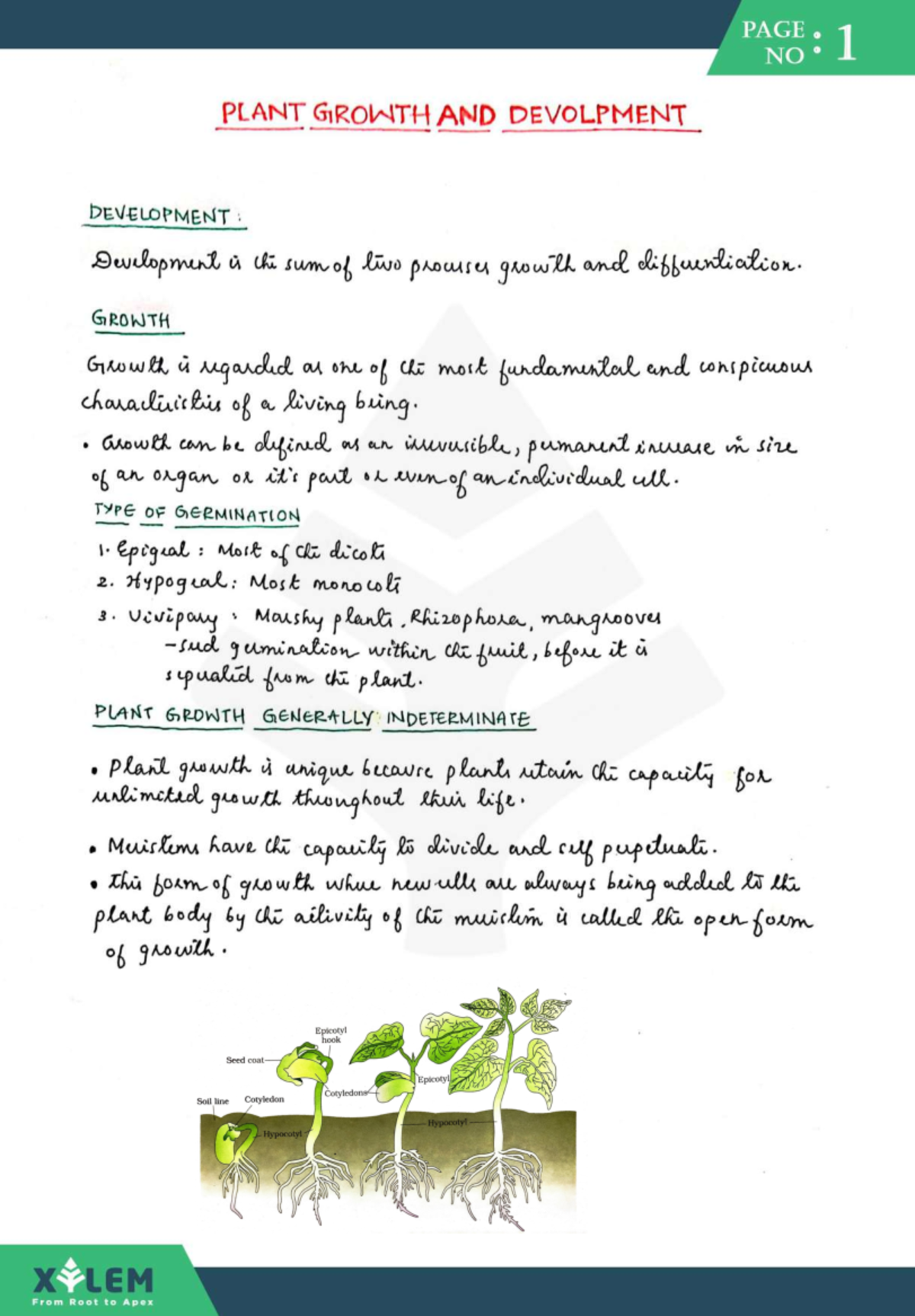Plant growth and development Biology science Studocu