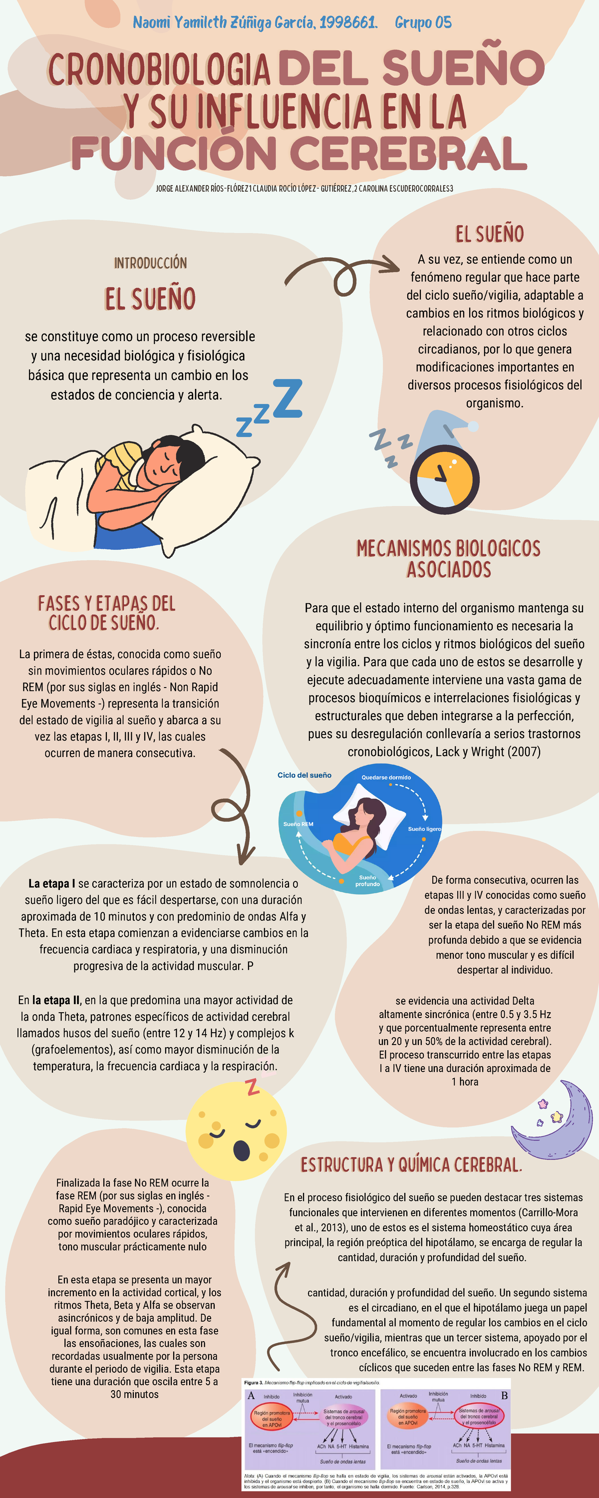 Infografia Cronobiologia del sueño Psicofisio - Y SU INFLUENCIA EN LAY ...