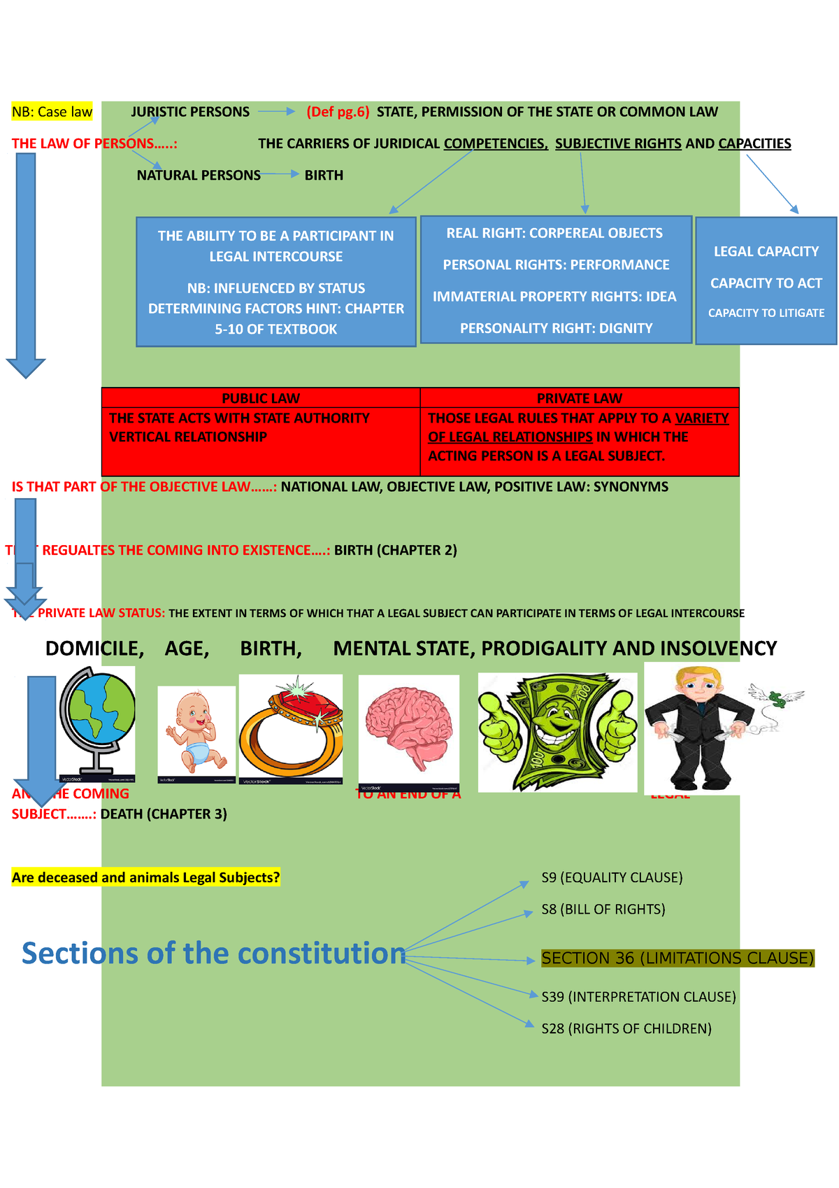 mind-map-chapter-1-law-of-persons-nb-case-law-juristic-persons