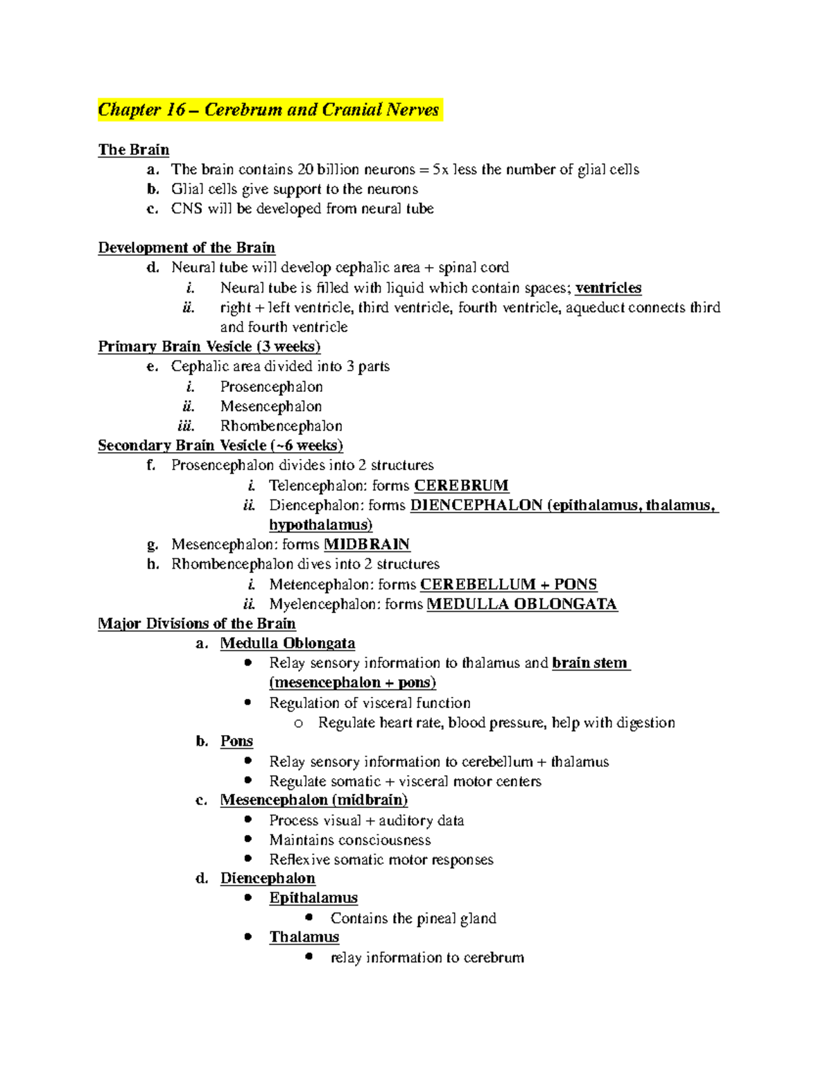 EXAM 3 notes - Chapter 16 Cerebrum and Cranial Nerves The Brain a. The ...