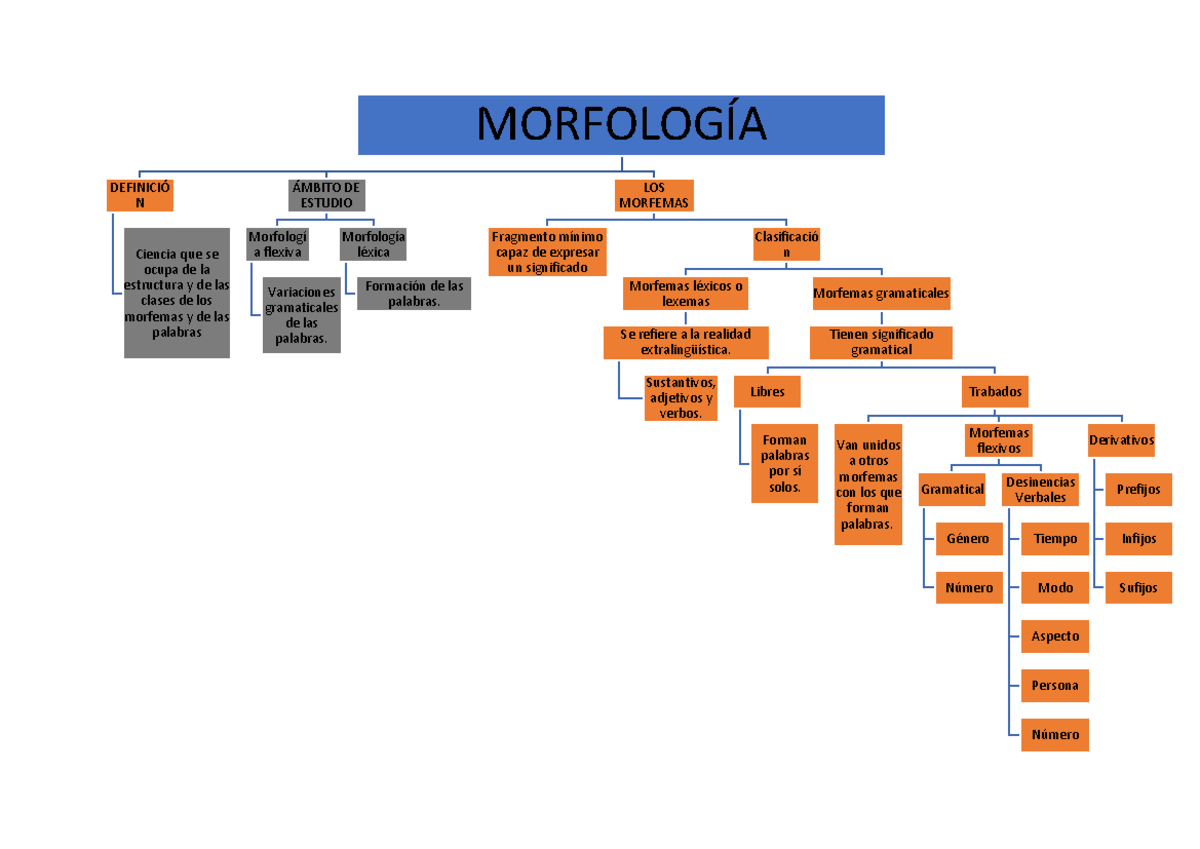 Morfología - MORFOLOGÕA DEFINICI” N Ciencia que se ocupa de la