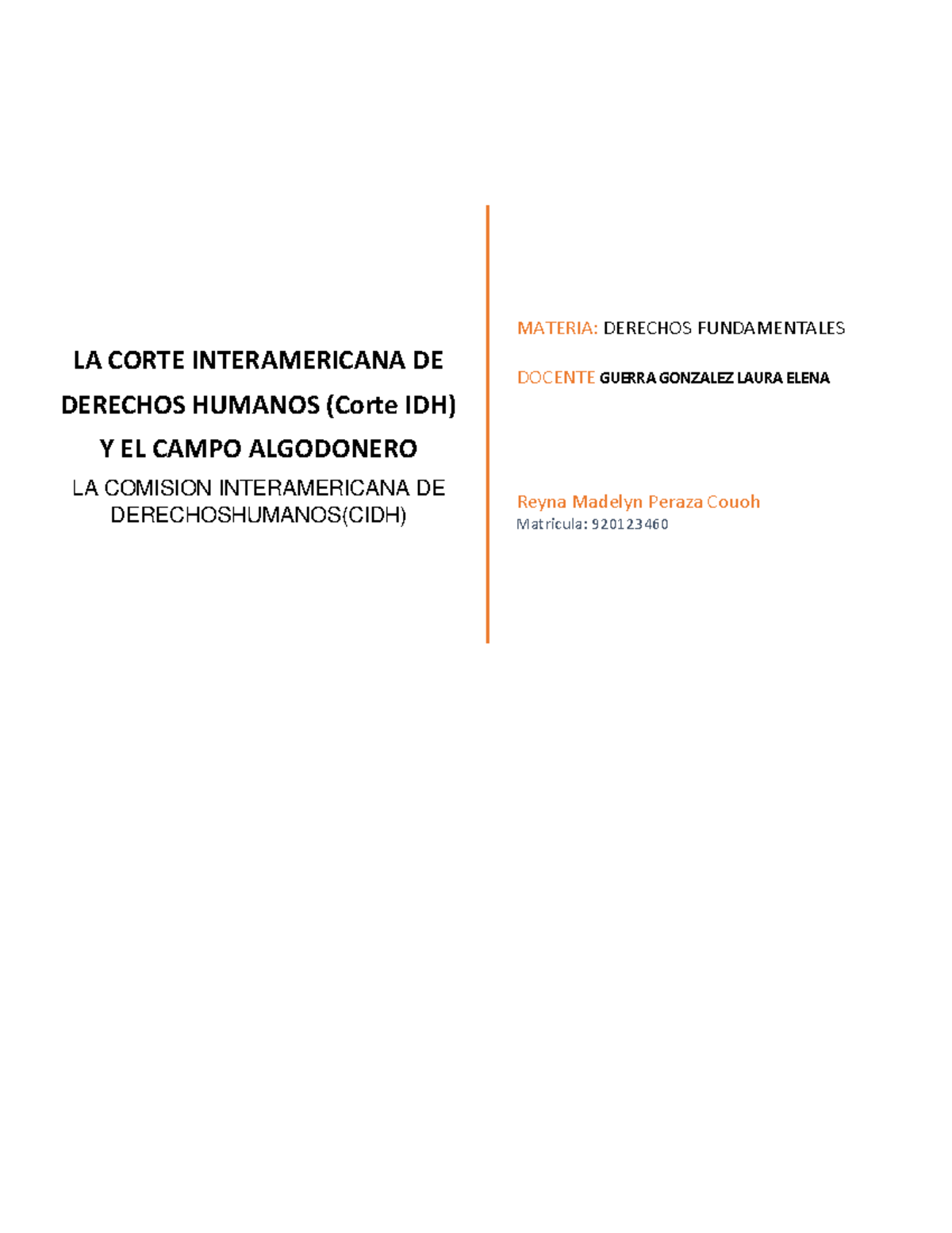 LA CORTE INTERAMERICANA DE DERECHOS HUMANOS (Corte IDH) Y EL CAMPO ...