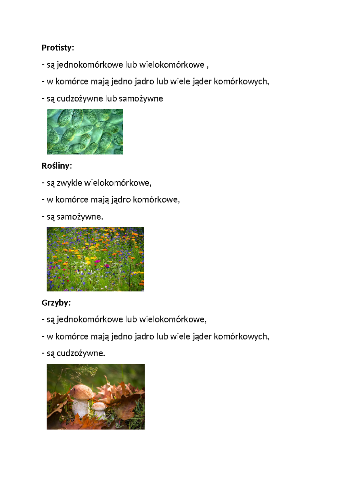 Protisty - chce te 10 dni darmowych - danese - Protisty: są ...