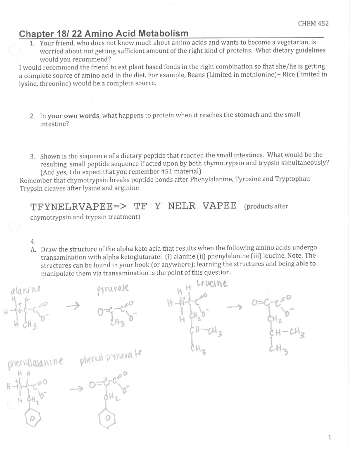 chem 454 case study 2 amino acid overload