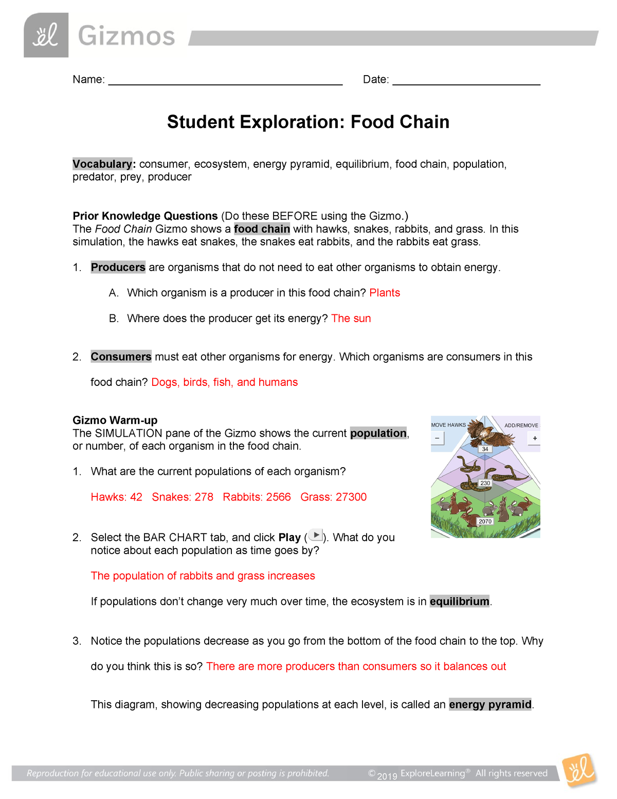 food-chain-gizmo-name-date