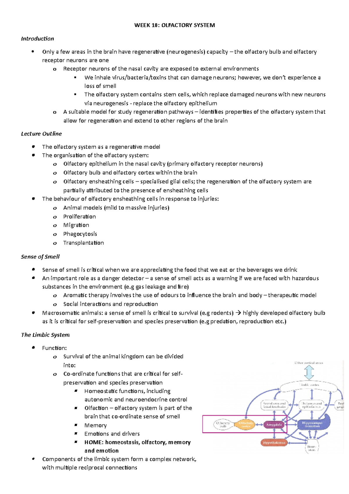 Neuroscience - WEEK 10 Examination Notes - WEEK 10: OLFACTORY SYSTEM ...