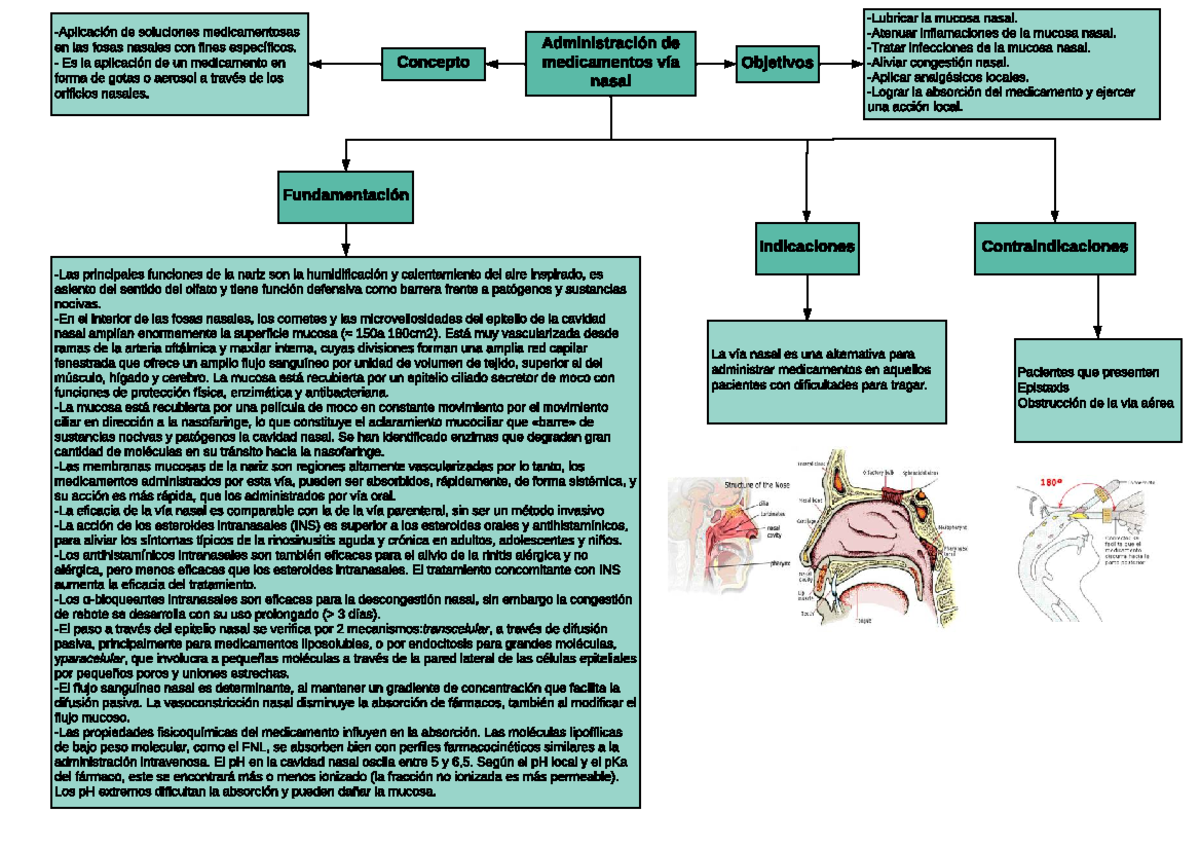 Mapa Administraci N De Medicamentos V A Nasal Administraci N De Medicamentos V A Nasal