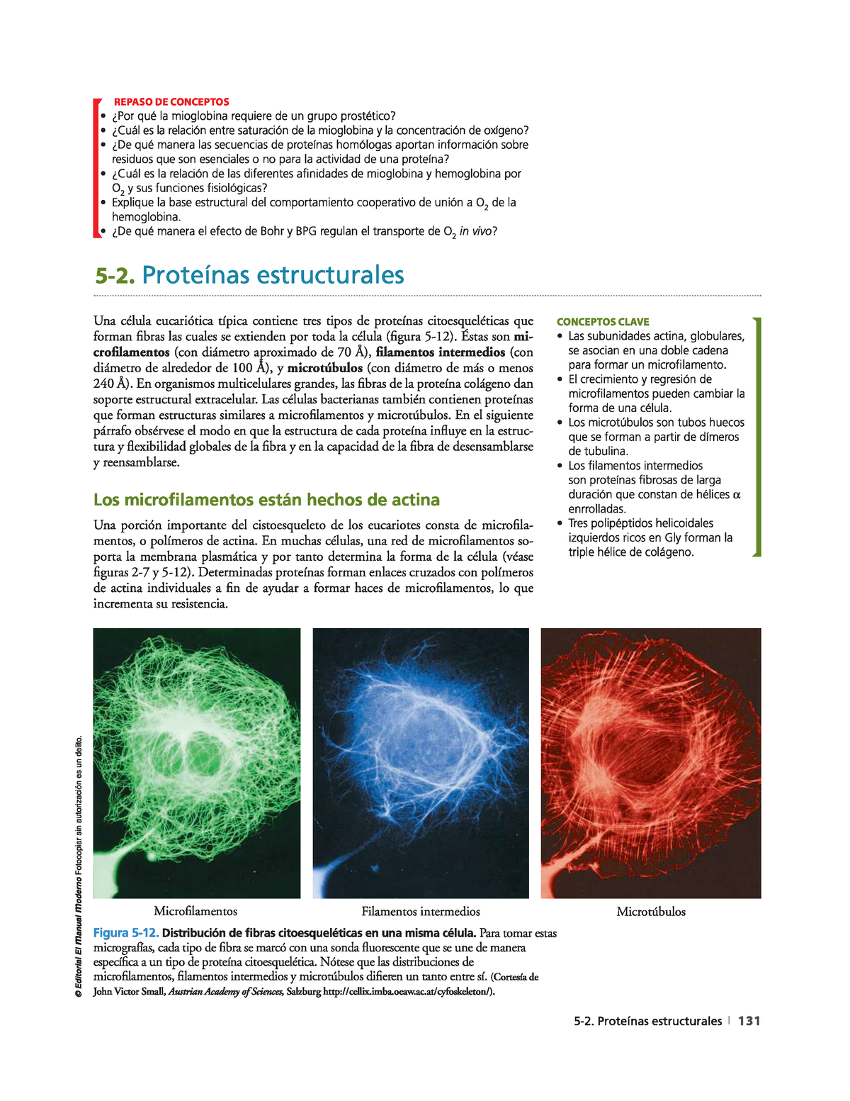 Material para repasa proteinas estructura definicion asi mismo ...