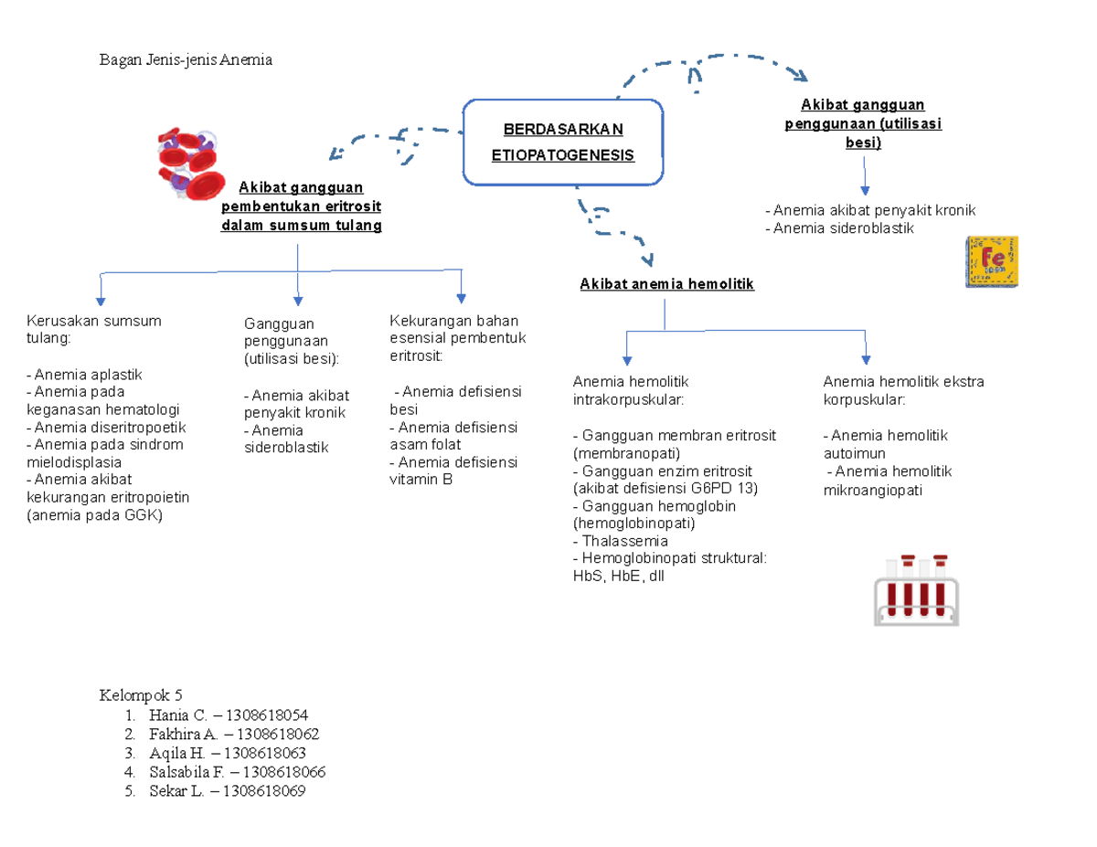 Fisiologi Hewan - Anemia - Bagan Jenis-jenis Anemia Kelompok 5 1. Hania ...