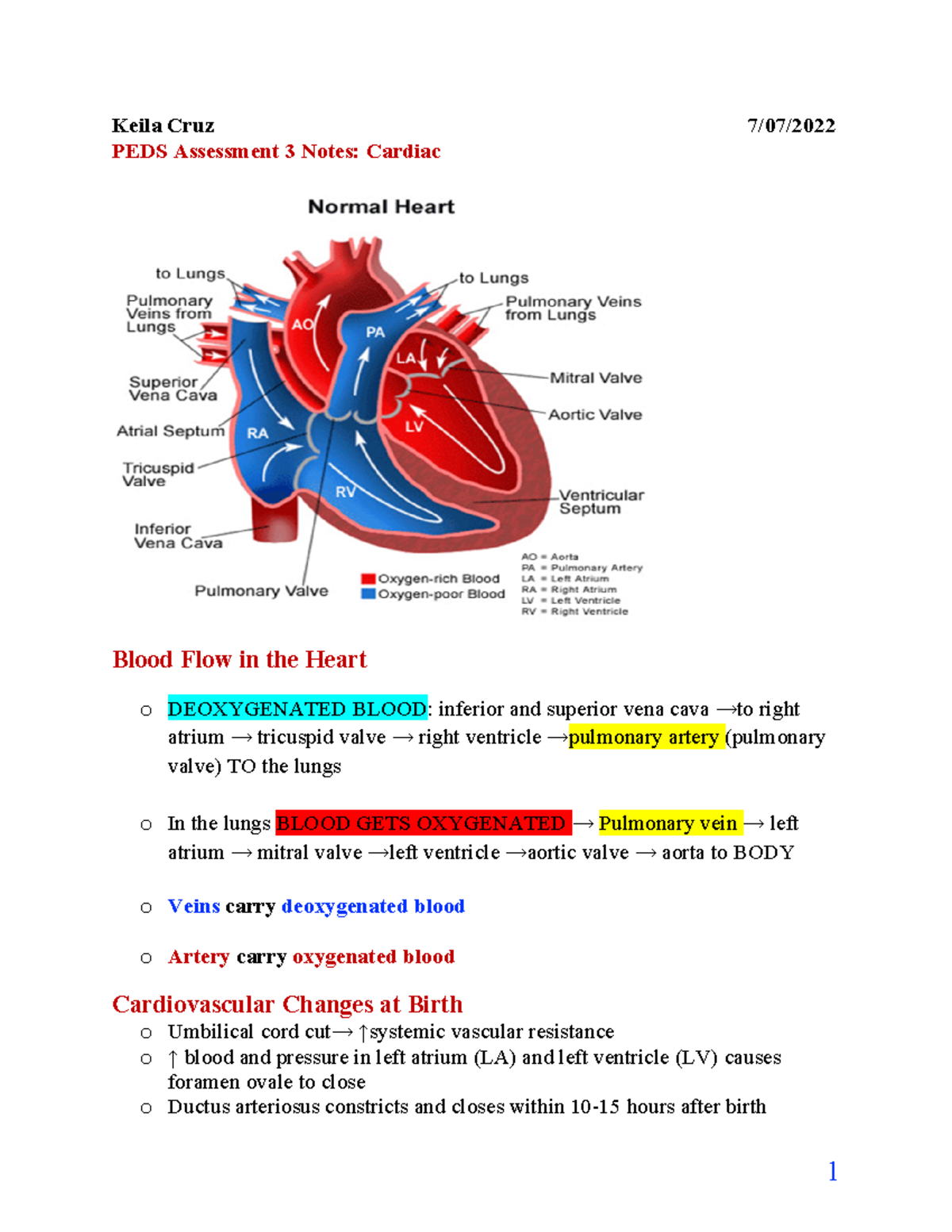 Peds Cardiac - Keila Cruz 7/07/ PEDS Assessment 3 Notes: Cardiac Blood ...