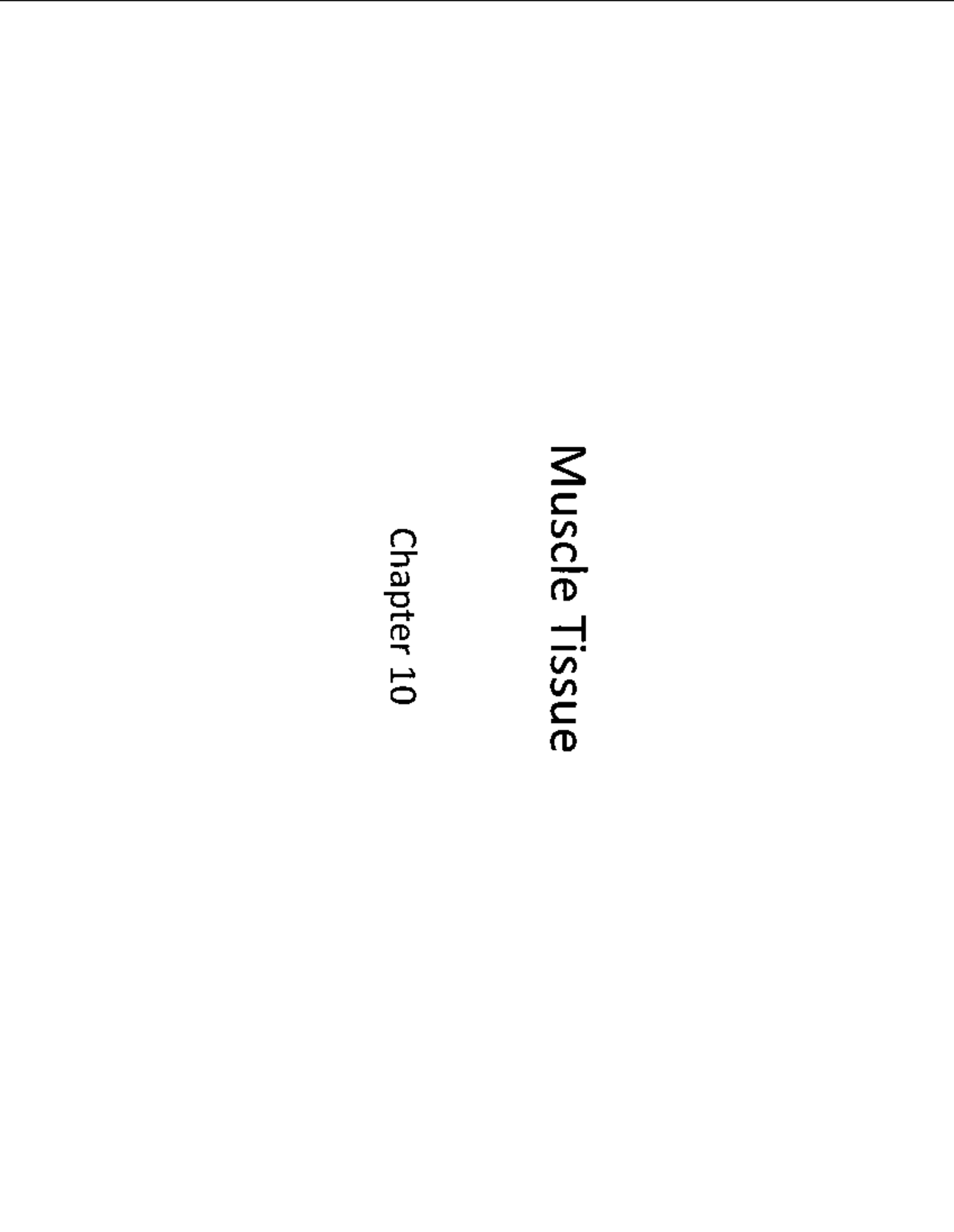 Muscle Tissue Notes Coursework Bio220 Studocu