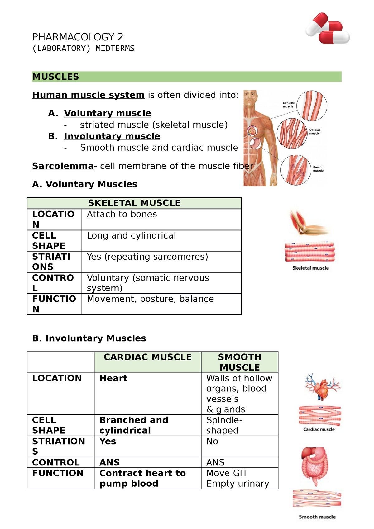 PCOL MID LAB - N/A - PHARMACOLOGY 2 (LABORATORY) MIDTERMS MUSCLES Human ...