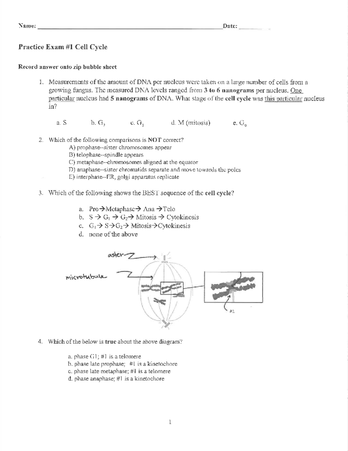 Practice+Exam+1+problems+2022 - Name: Date: Practice Exam Cell Cycle ...