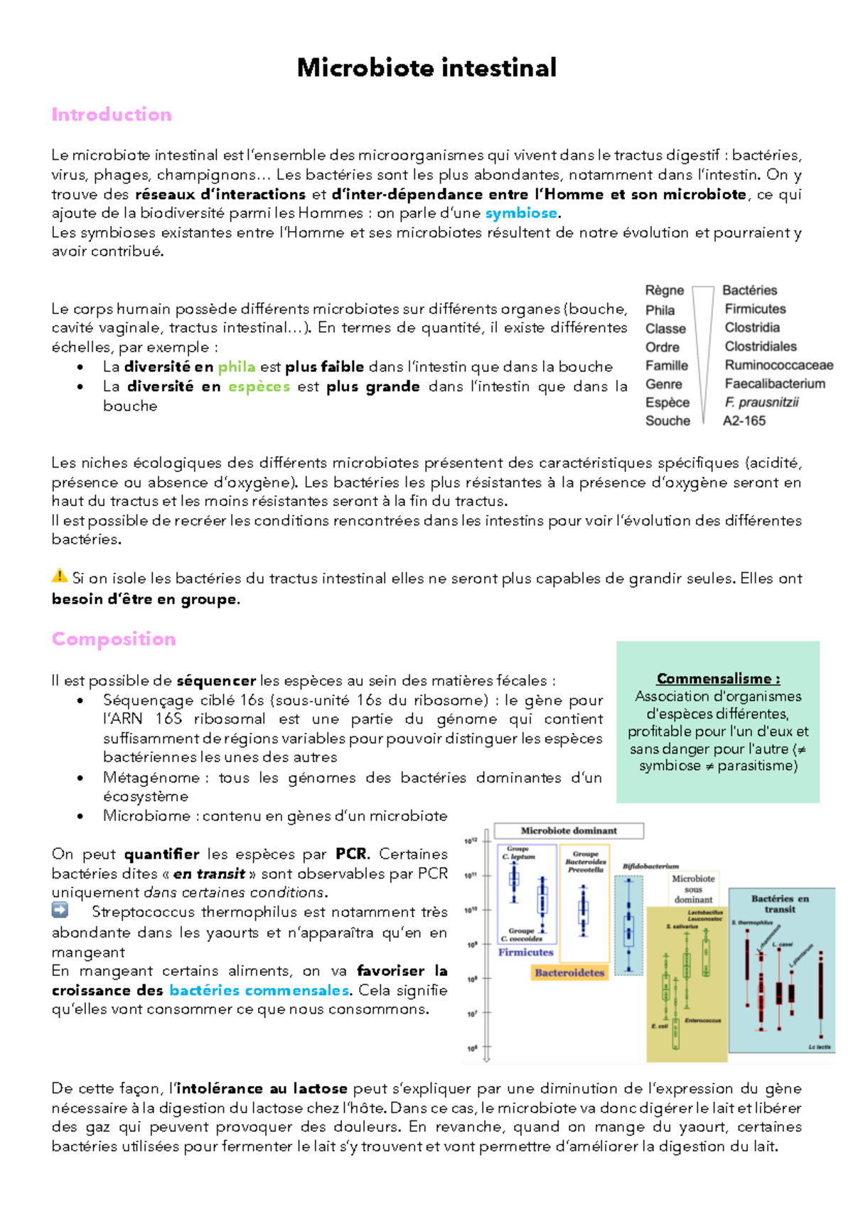 Microbiote intestinal - .. Les bactéries sont les plus abondantes ...