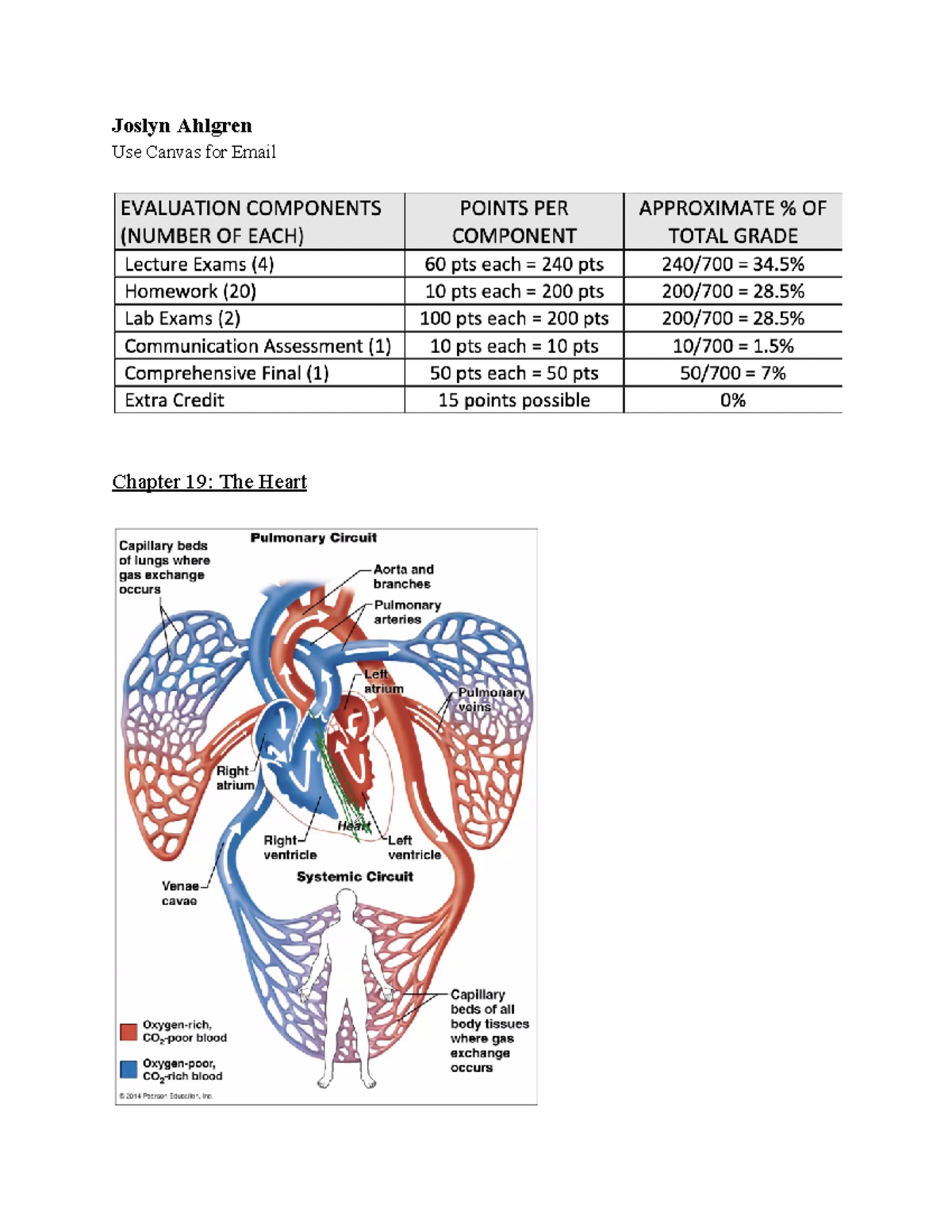 APK2100C Exam 4 Notes - Joslyn Ahlgren Use Canvas For Email Chapter 19 ...