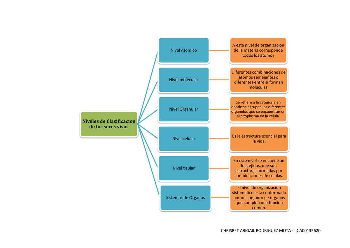 Rodriguez-Chrisbet-Mapa Conceptual - CHRISBET ABIGAIL RODRIGUEZ MOTA - ID A  Niveles de Clasificacion - Studocu