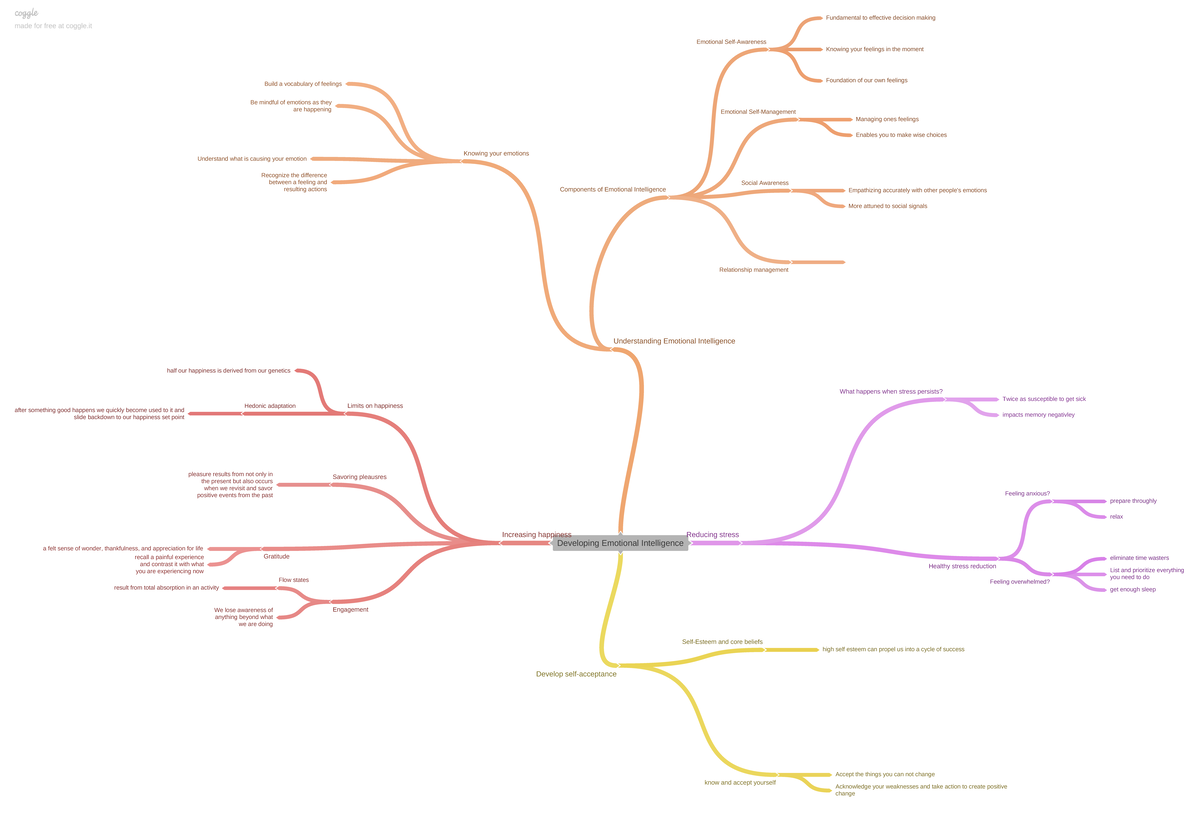 Developing Emotional Intelligence-2 - Developing Emotional Intelligence ...