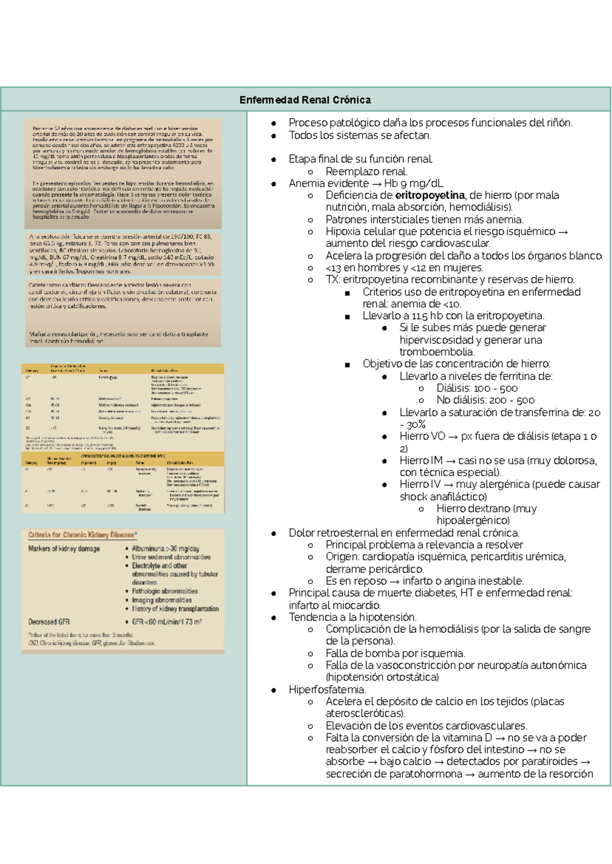 3p nefro - Resumen National Kidney Foundation Primer on Kidney Diseases ...