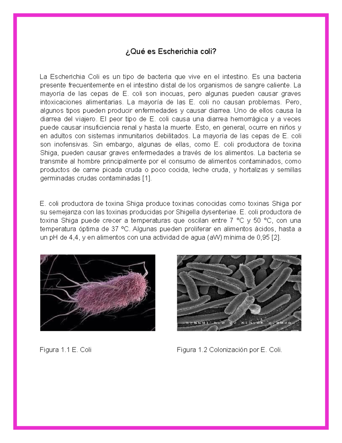 Escherichia Coli: Qué Es Y Cuáles Son Los Síntomas – MHWJLJ