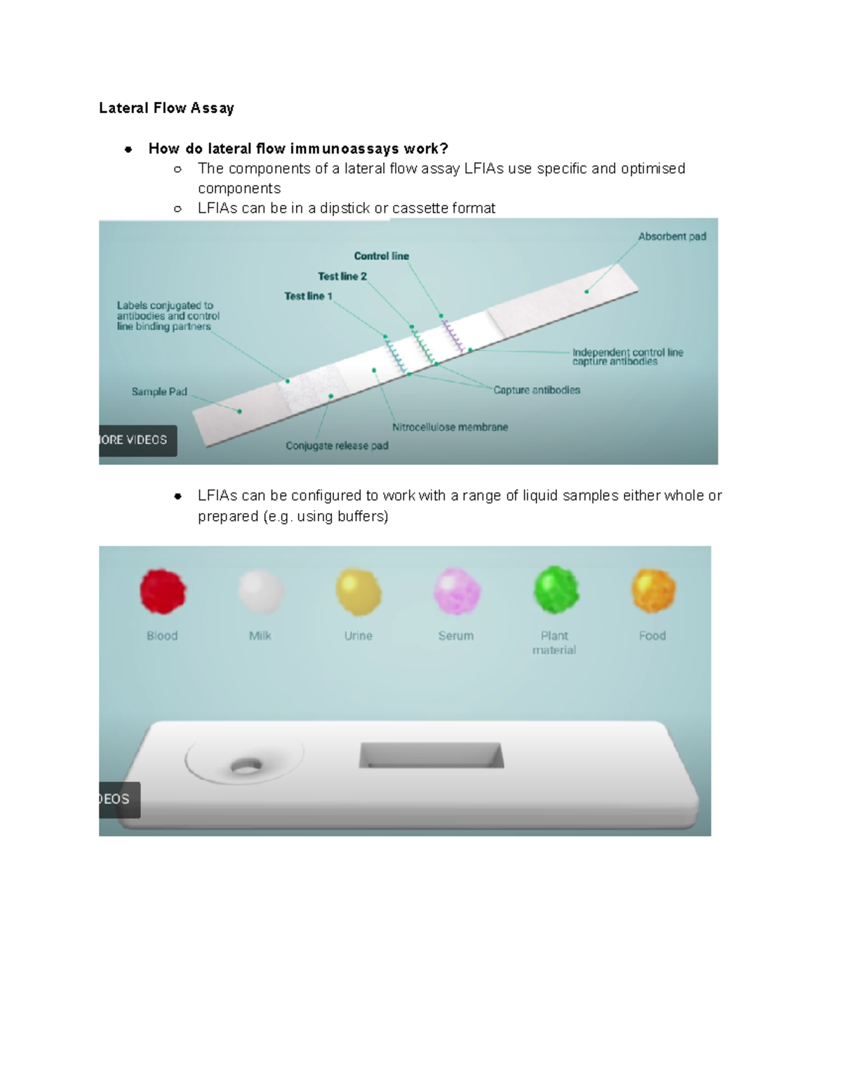 Lecture 10 Lateral Flow Tests Lateral Flow Assay How Do Lateral Flow   Thumb 1200 1553 