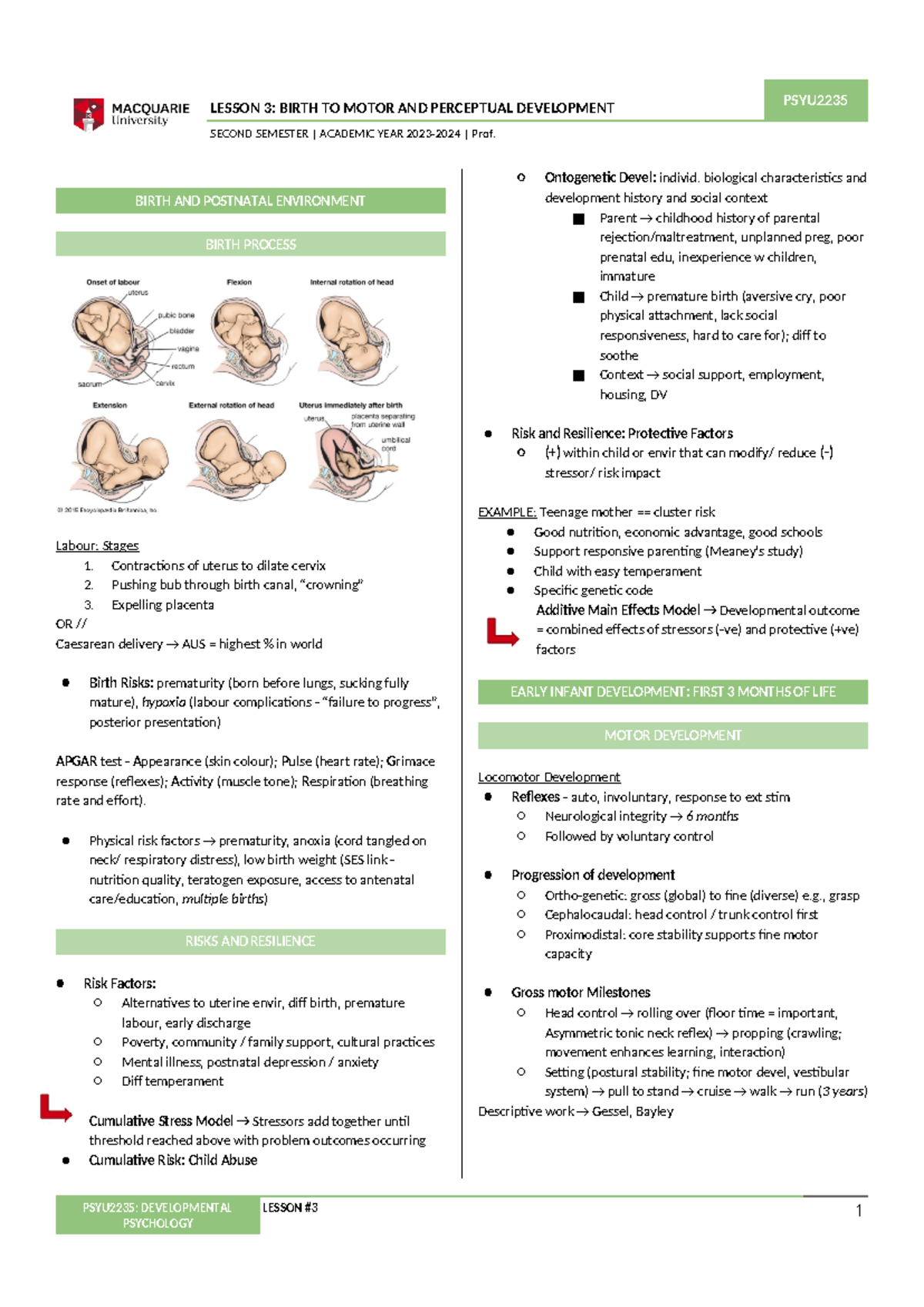 [PSYU 2235] LEC3 - Lecture Notes Wk3 - Birth to Motor; Perceptual ...
