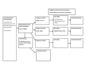 Updated Caremaps copy 2 - Intervention Provide pharmacological or/and ...