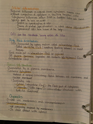 Lab 4 - Lower Limb Muscles - Assignment - Student Name ...