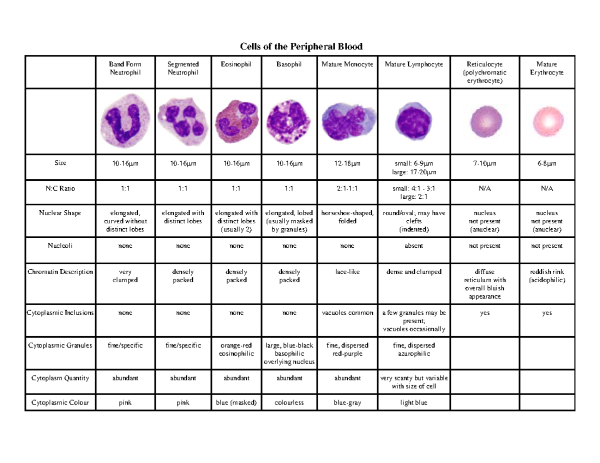 Wk.3 Cells Of Peripheral Blood - Lsb365 - Qut - Studocu