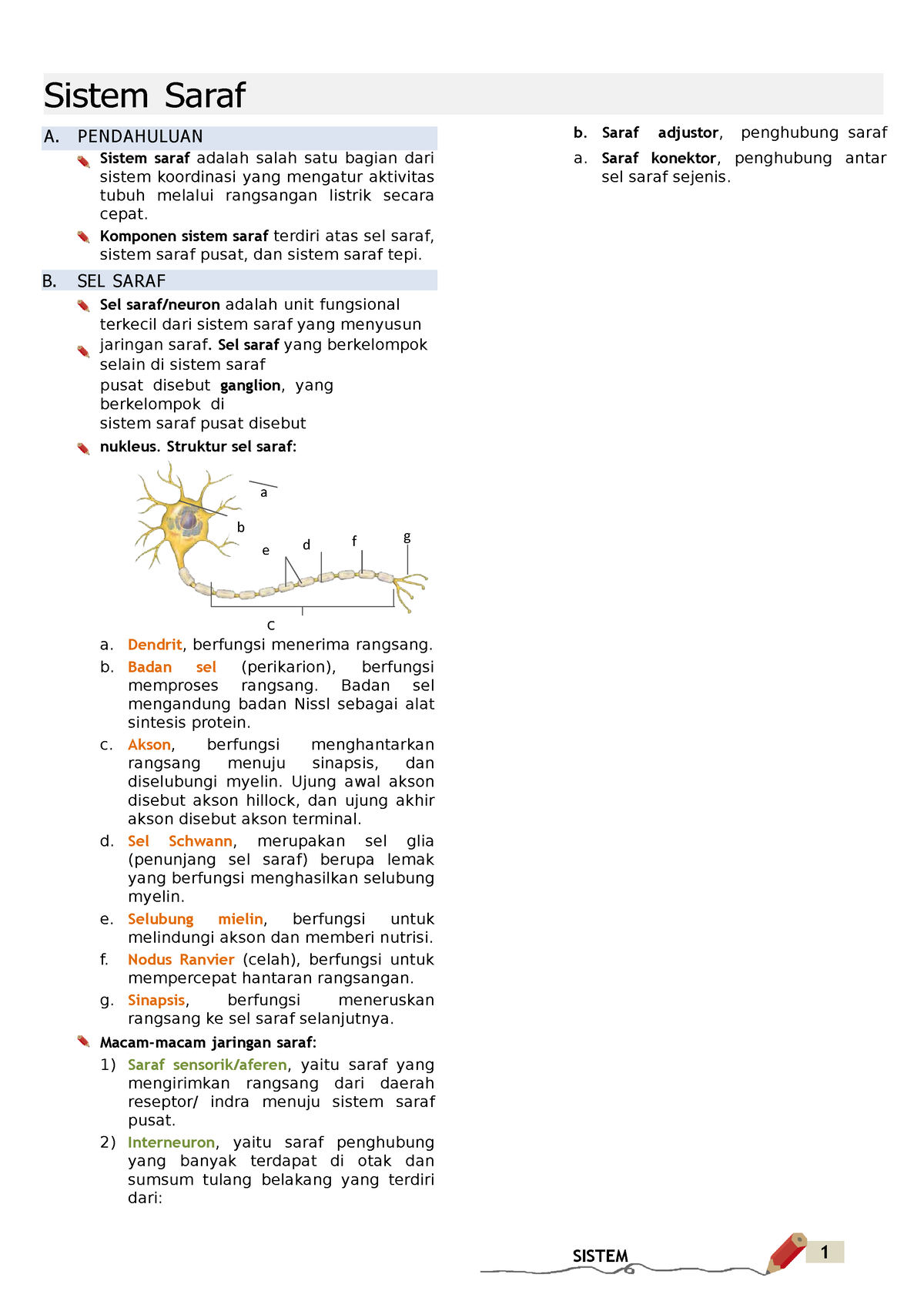 Materi Sistem Saraf - A B E D F G Sistem Saraf B. Saraf Adjustor ...