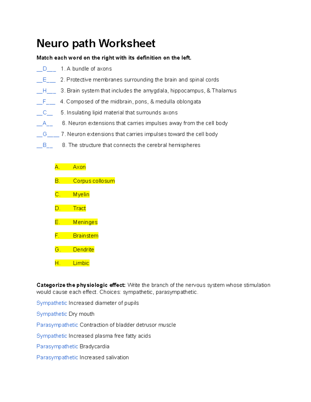 Neuro path Worksheet - Neuro path Worksheet Match each word on the ...