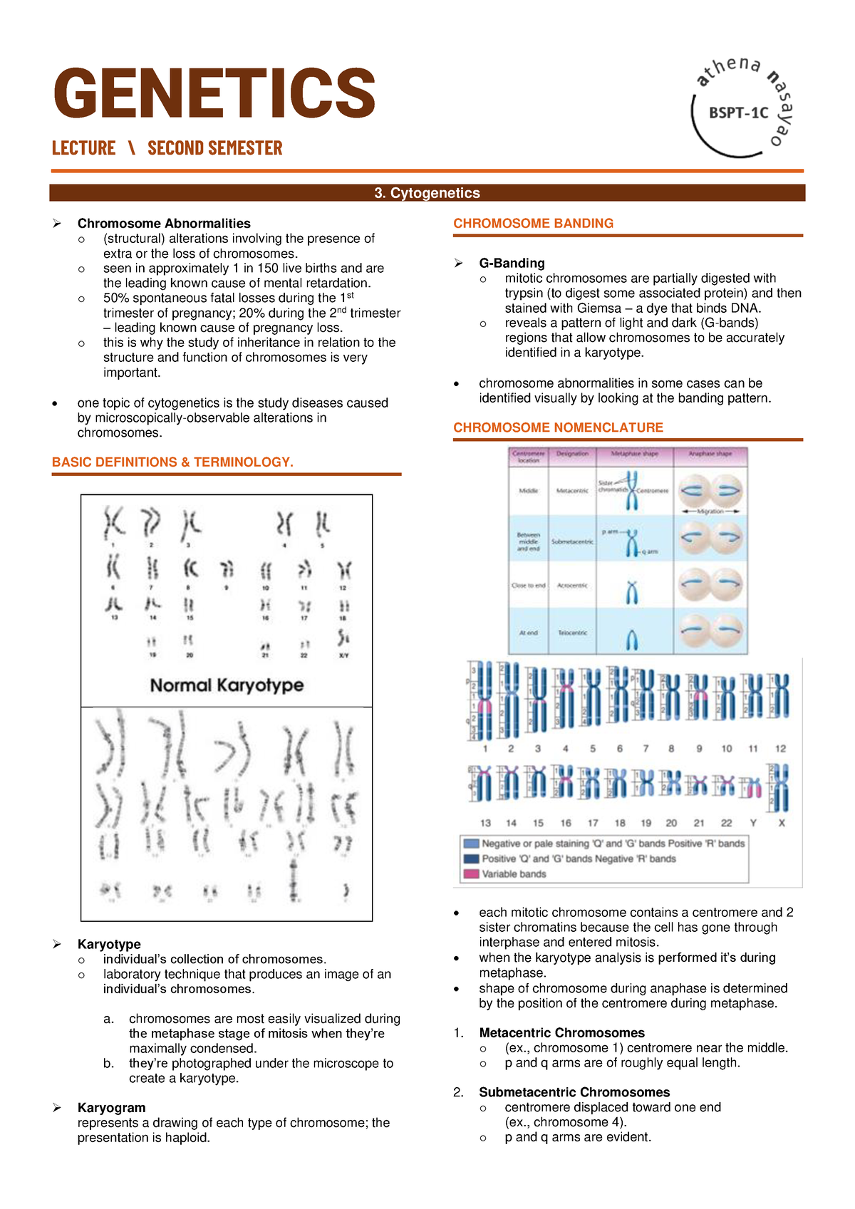 Cytogenetics Nasayao - Hiiii - LECTURE \ SECOND SEMESTER 3 ...