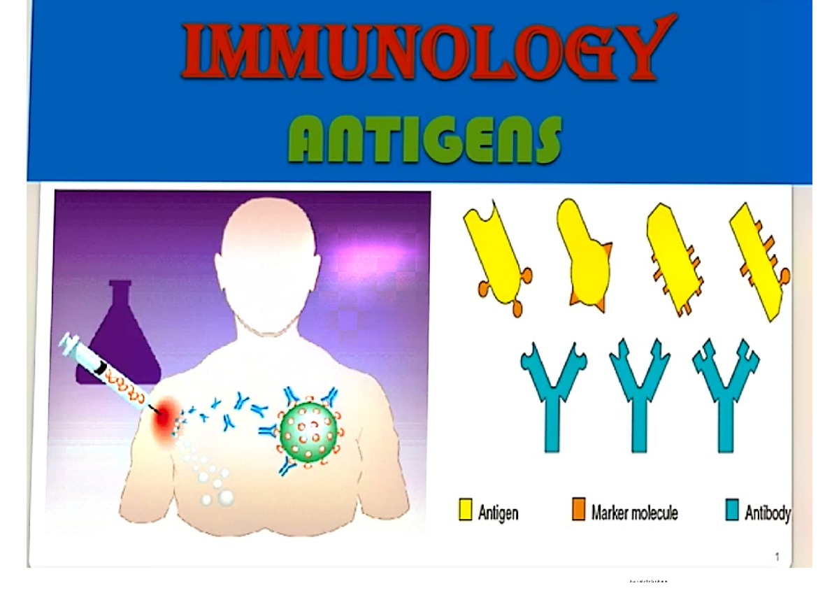 Lec 6 Antigens General pathology Studocu